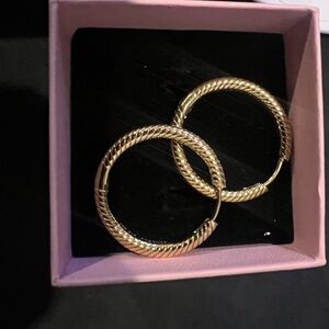 Pandora Moments Charm Hoop Earrings